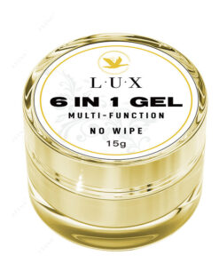 6 IN 1 GEL (NO WIPE)